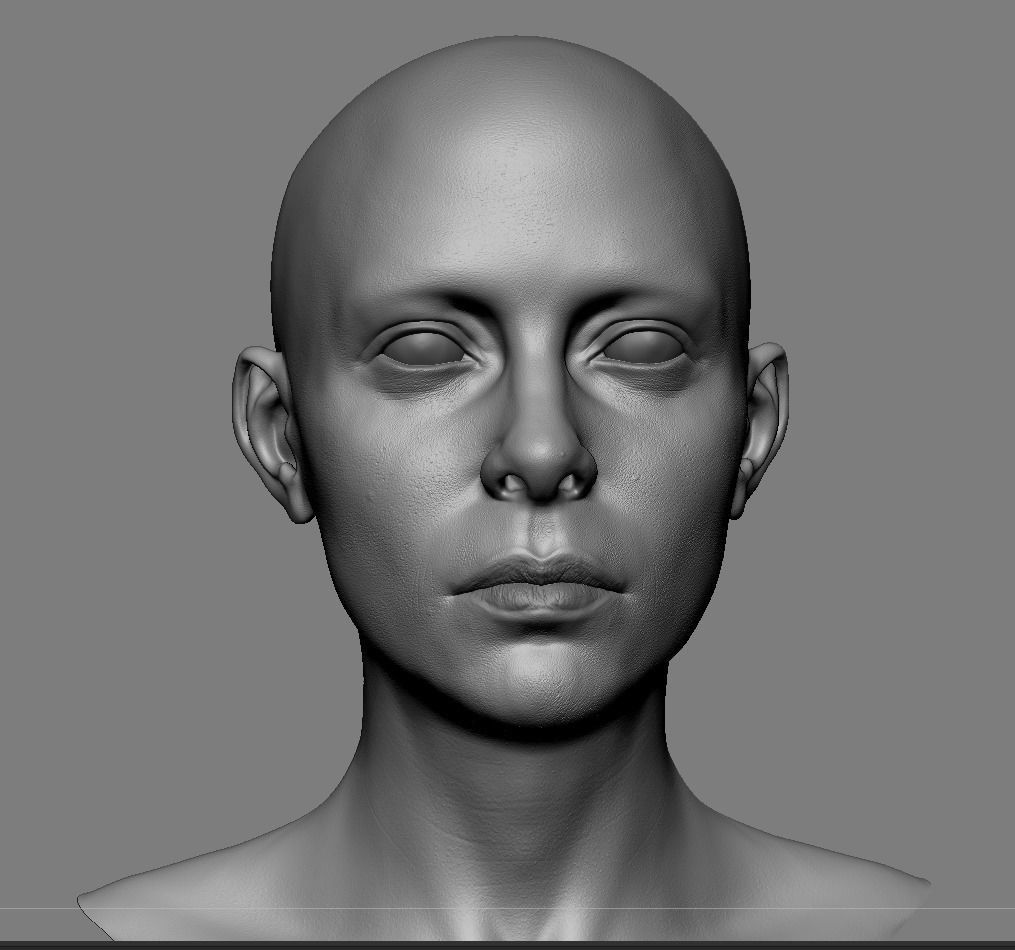 Realistic White Female Head Anatomy 3D model_2
