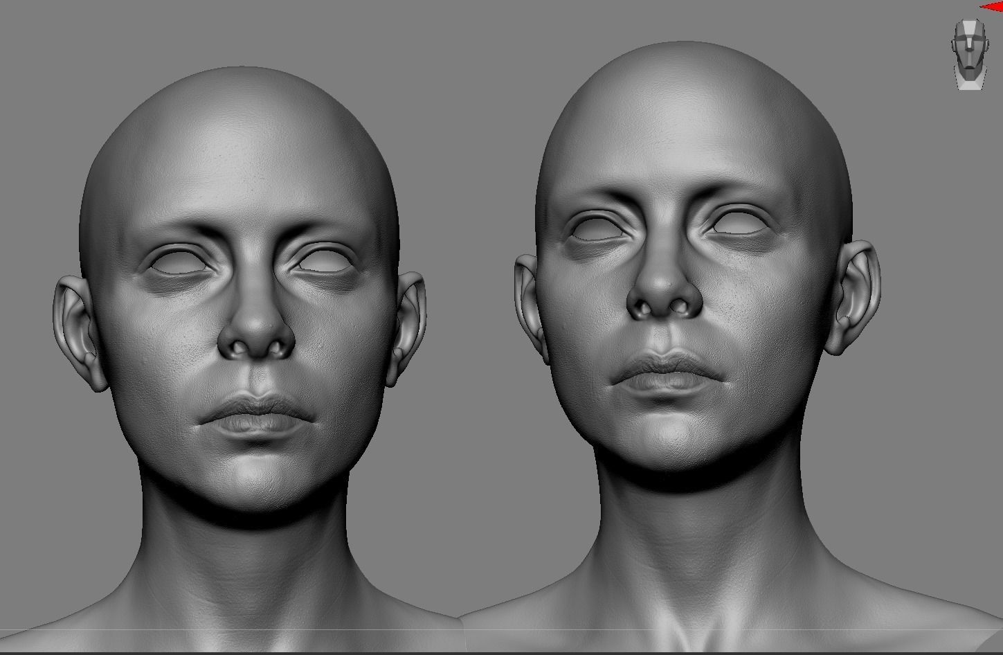 Realistic White Female Head Anatomy 3D model_3