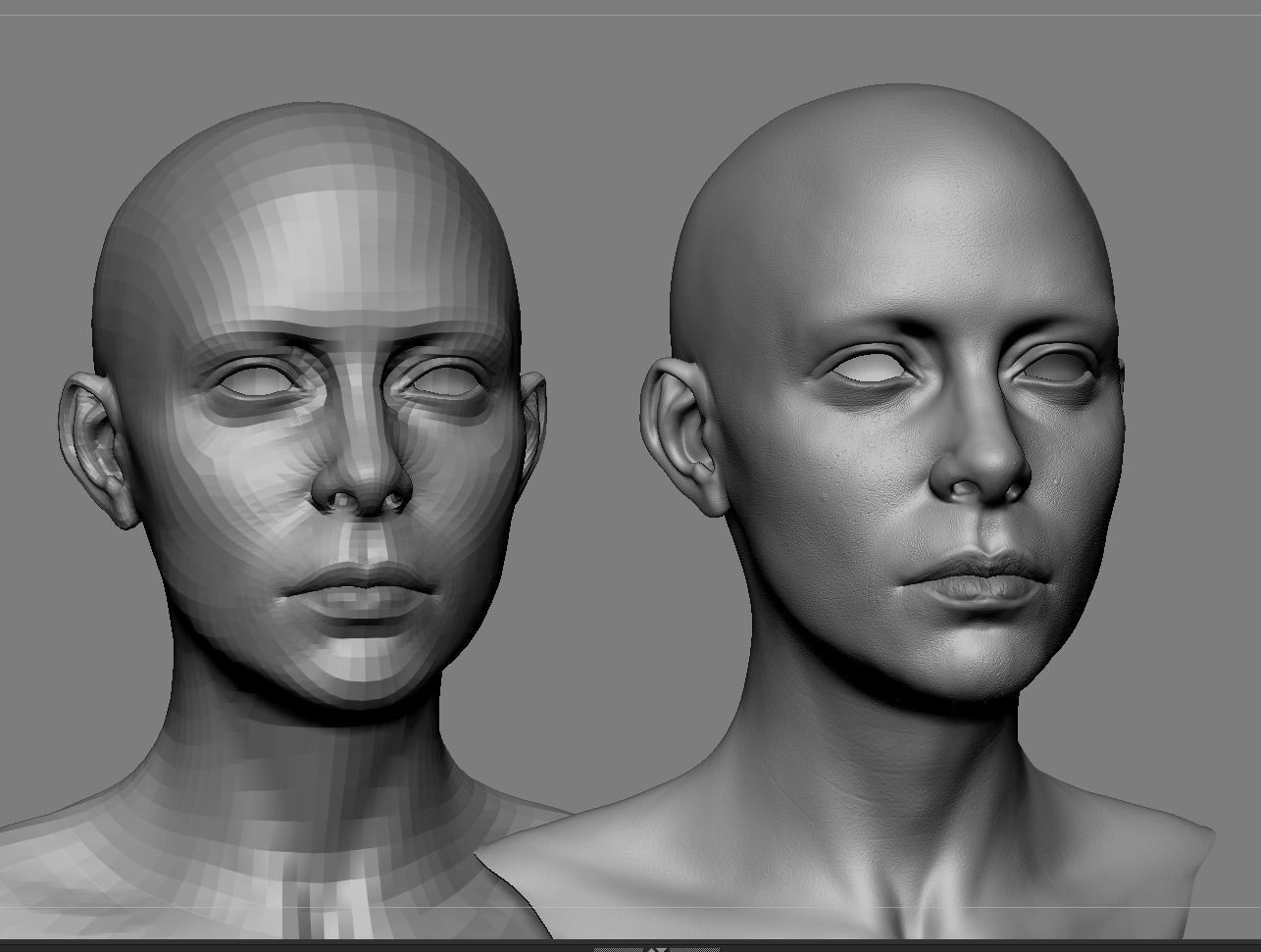 Realistic White Female Head Anatomy 3D model_4