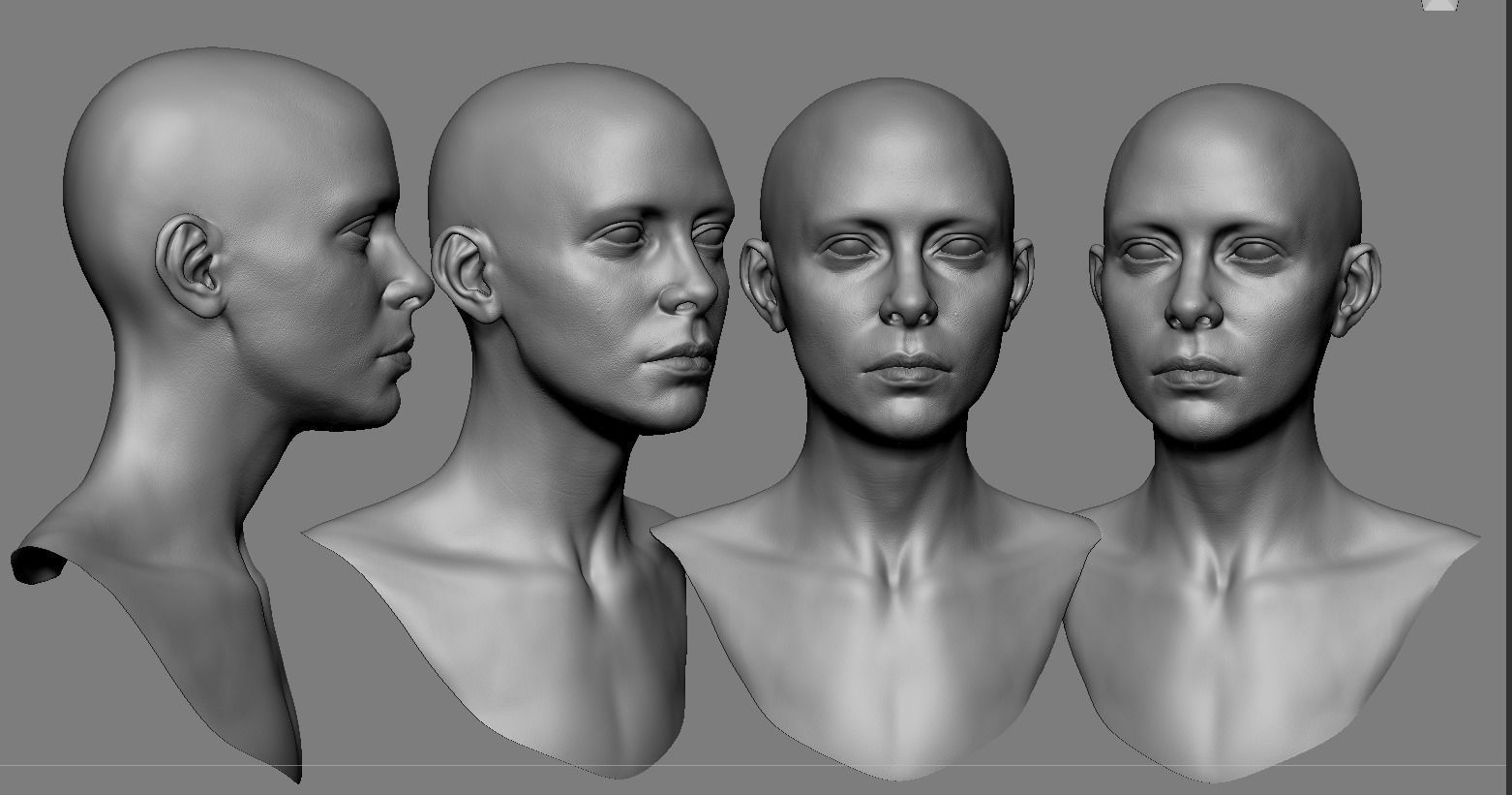 Realistic White Female Head Anatomy 3D model_1