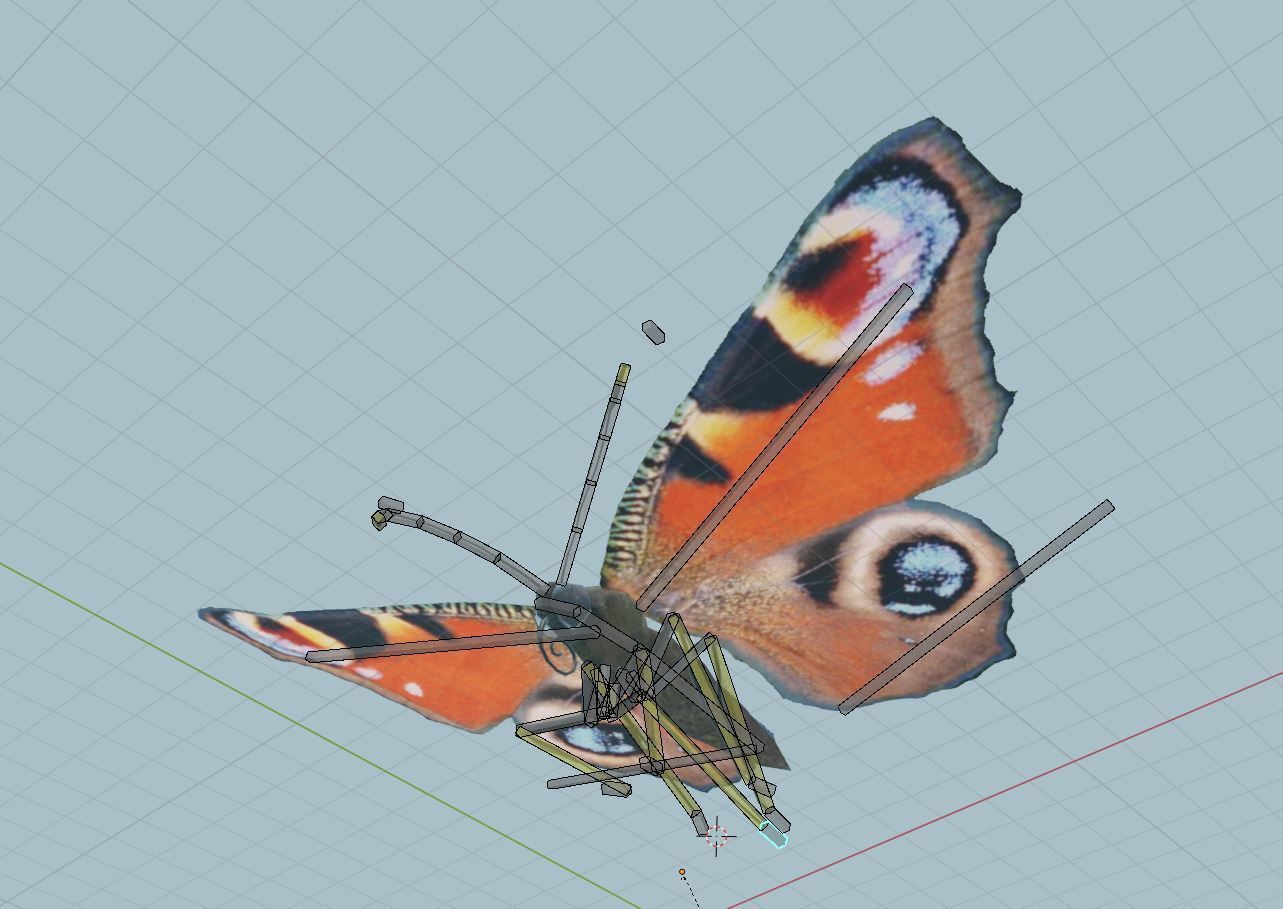 Peacock Butterfly 3D model_3