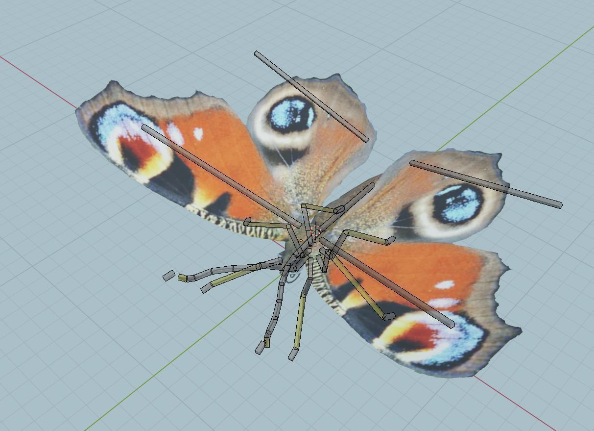 Peacock Butterfly 3D model_10