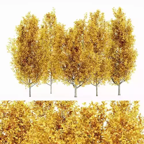 Cypress Oak fall tree collection 5 trees in the scene 3D model