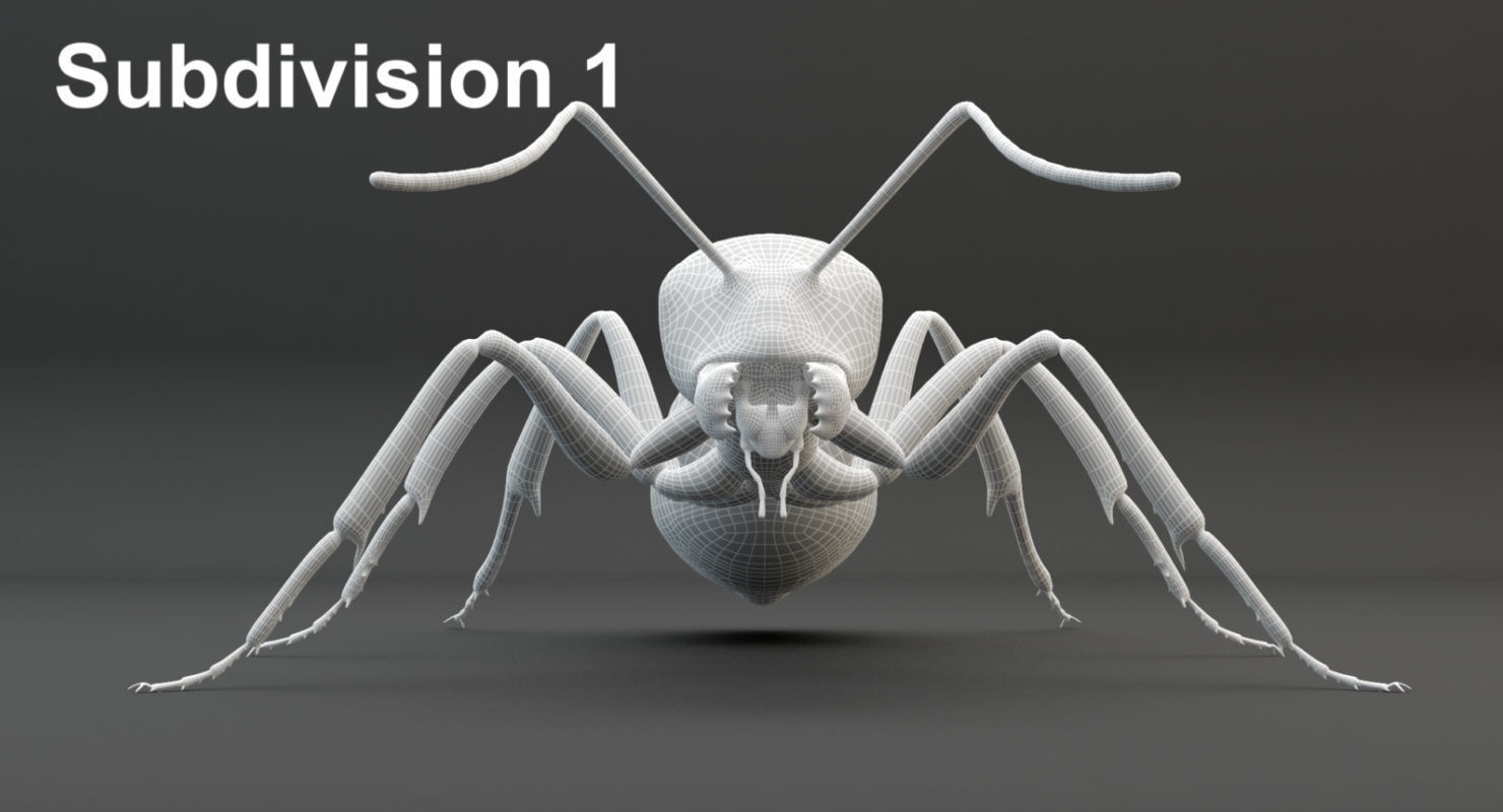 Animated Ant 3D model Low-poly 3D model_26