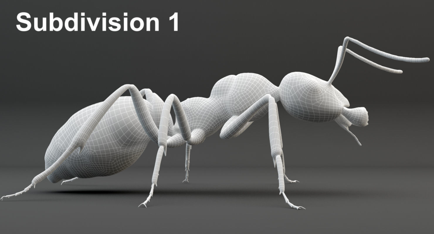 Animated Ant 3D model Low-poly 3D model_27
