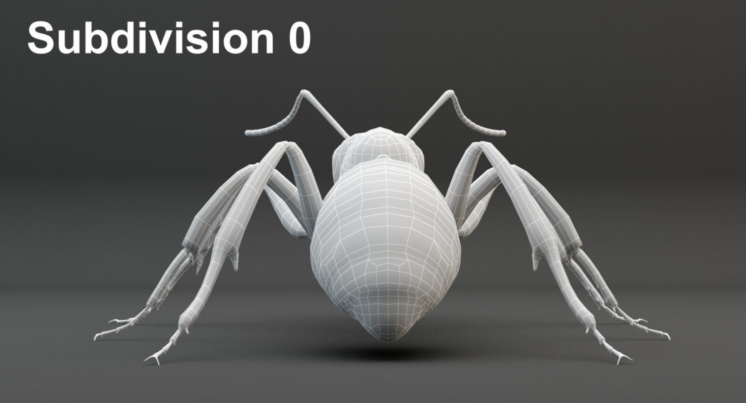 Animated Ant 3D model Low-poly 3D model_25
