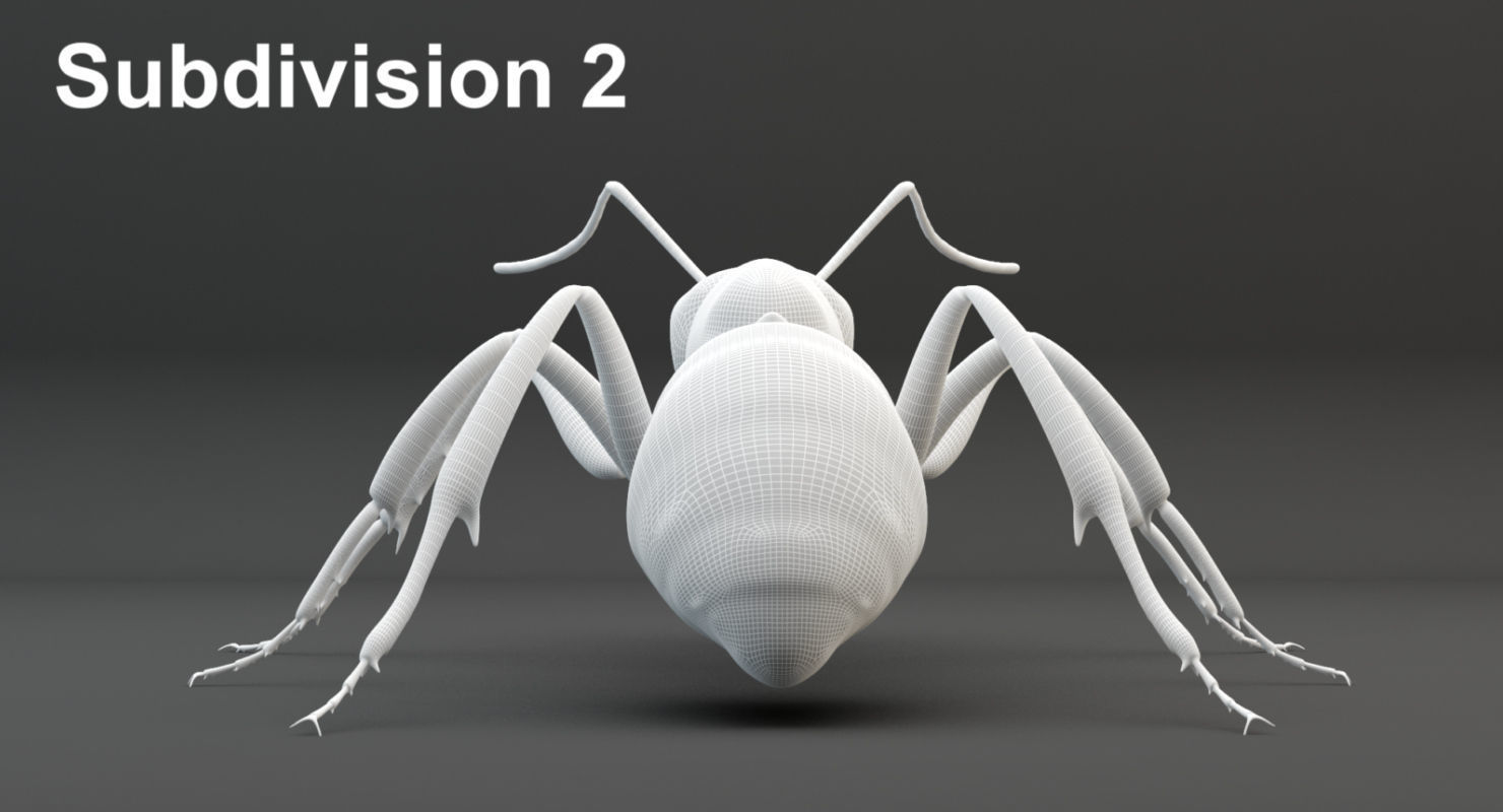 Animated Ant 3D model Low-poly 3D model_31