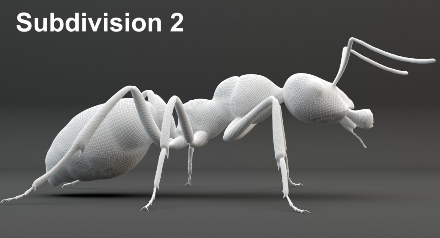 Animated Ant 3D model Low-poly 3D model_30