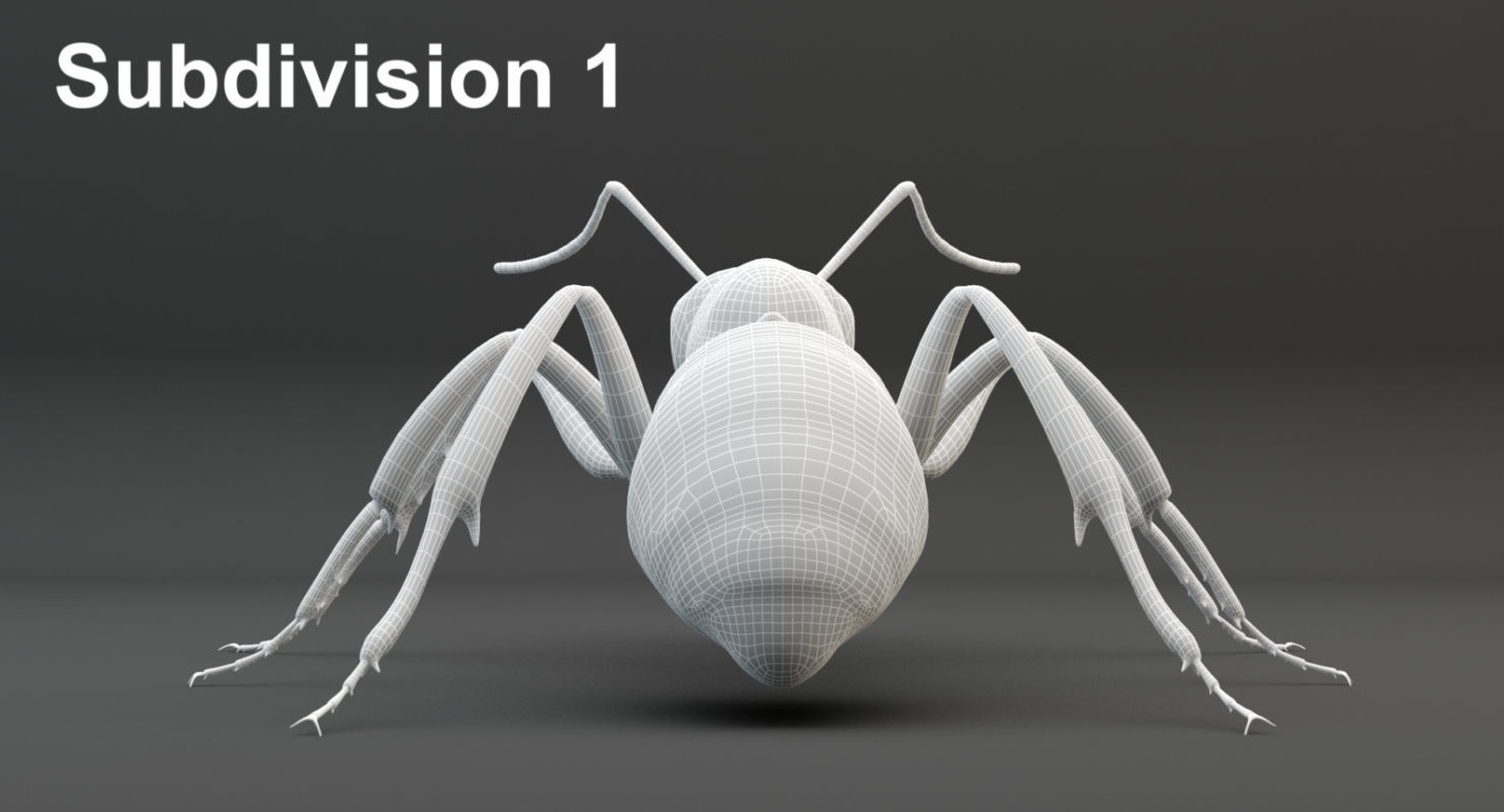Animated Ant 3D model Low-poly 3D model_28