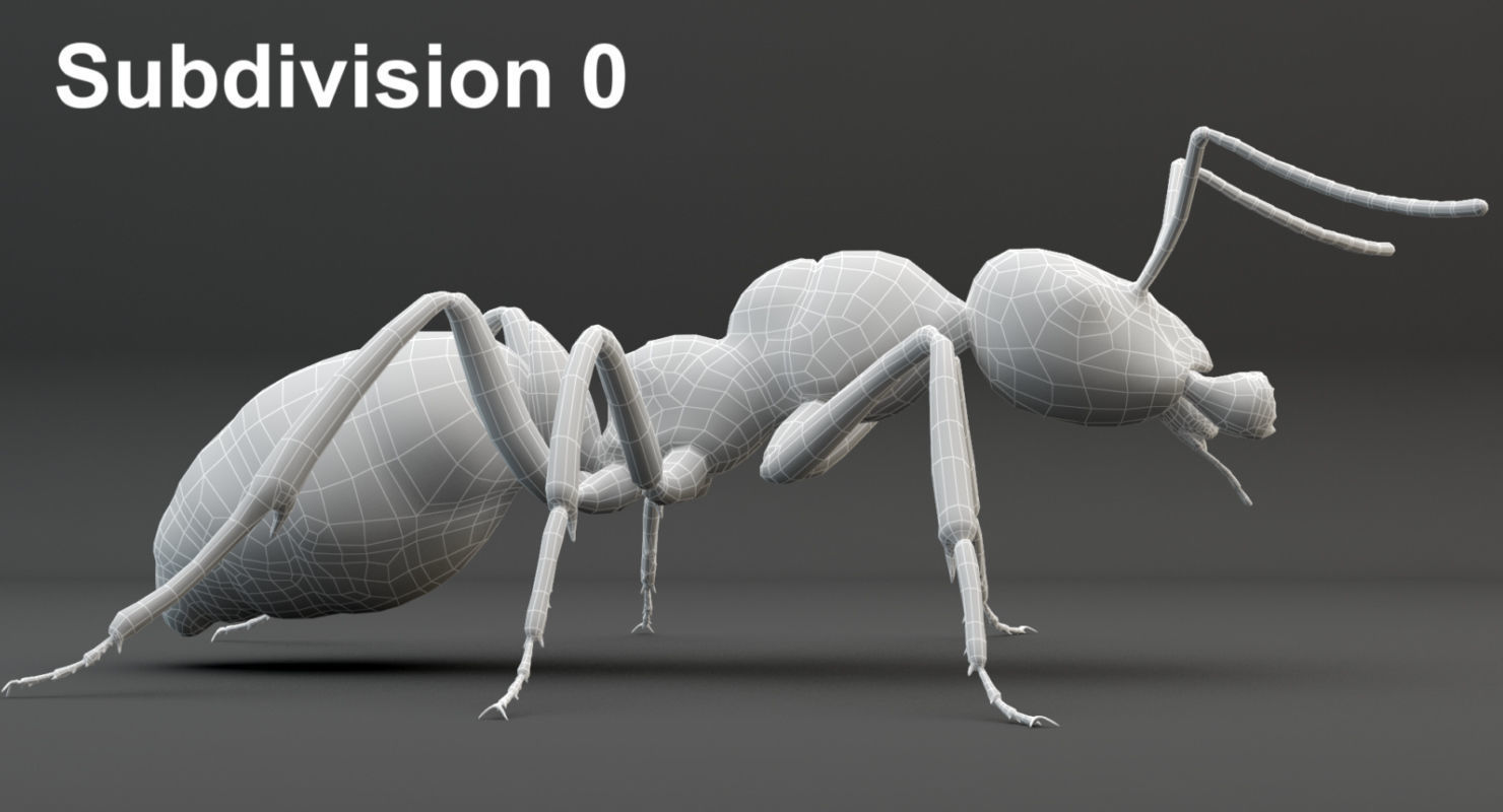 Animated Ant 3D model Low-poly 3D model_24