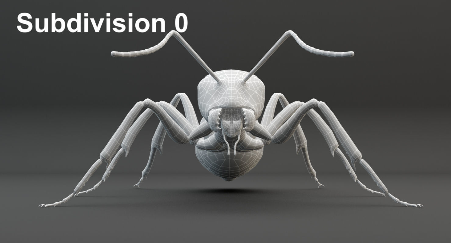 Animated Ant 3D model Low-poly 3D model_23