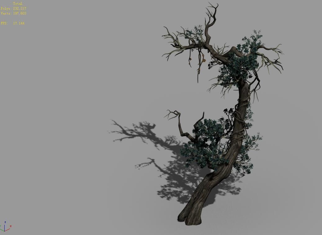 Qianhuilin-Difu-Vine Tree 054 3D model_4