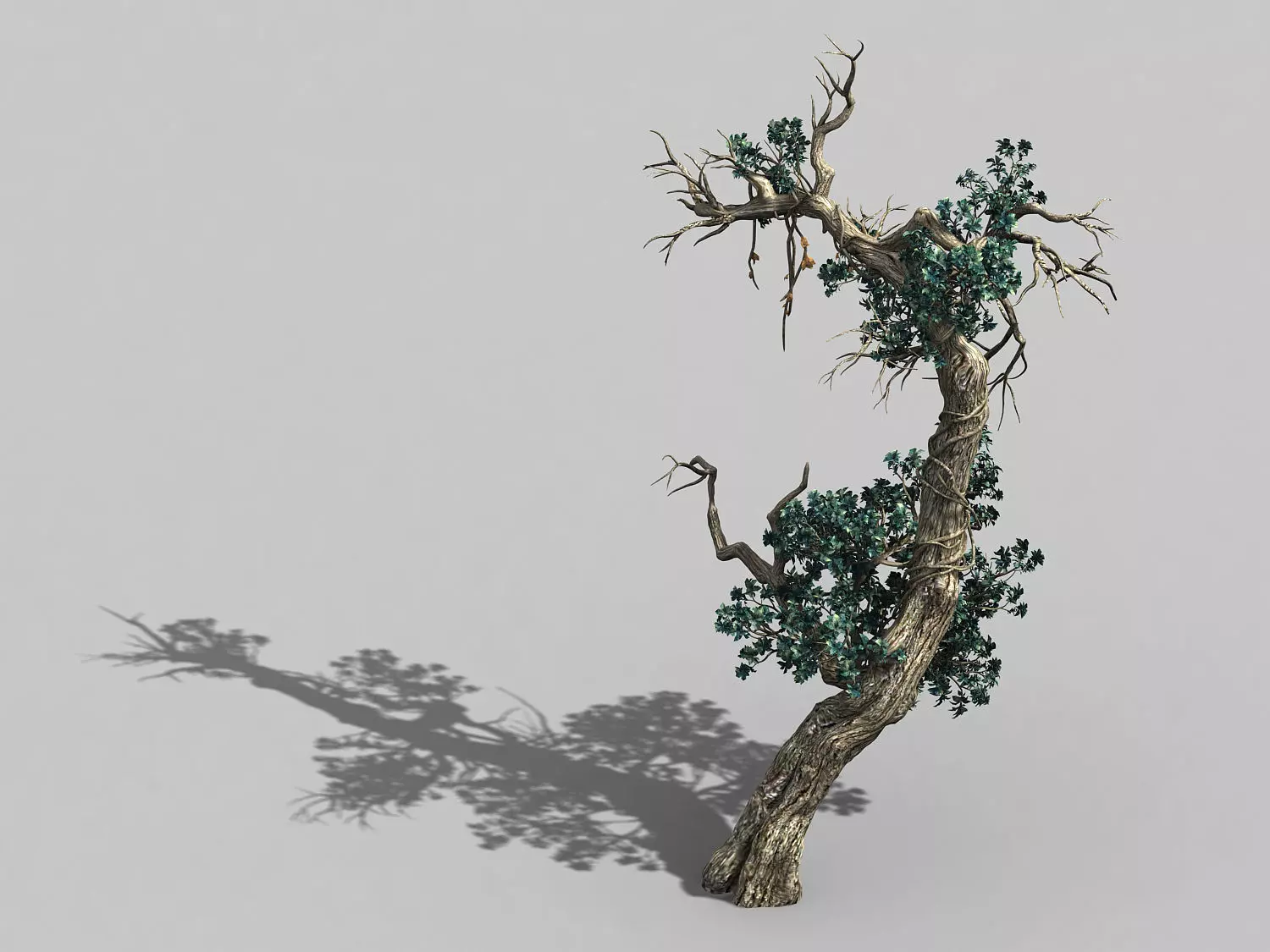 Qianhuilin-Difu-Vine Tree 054 3D model_0