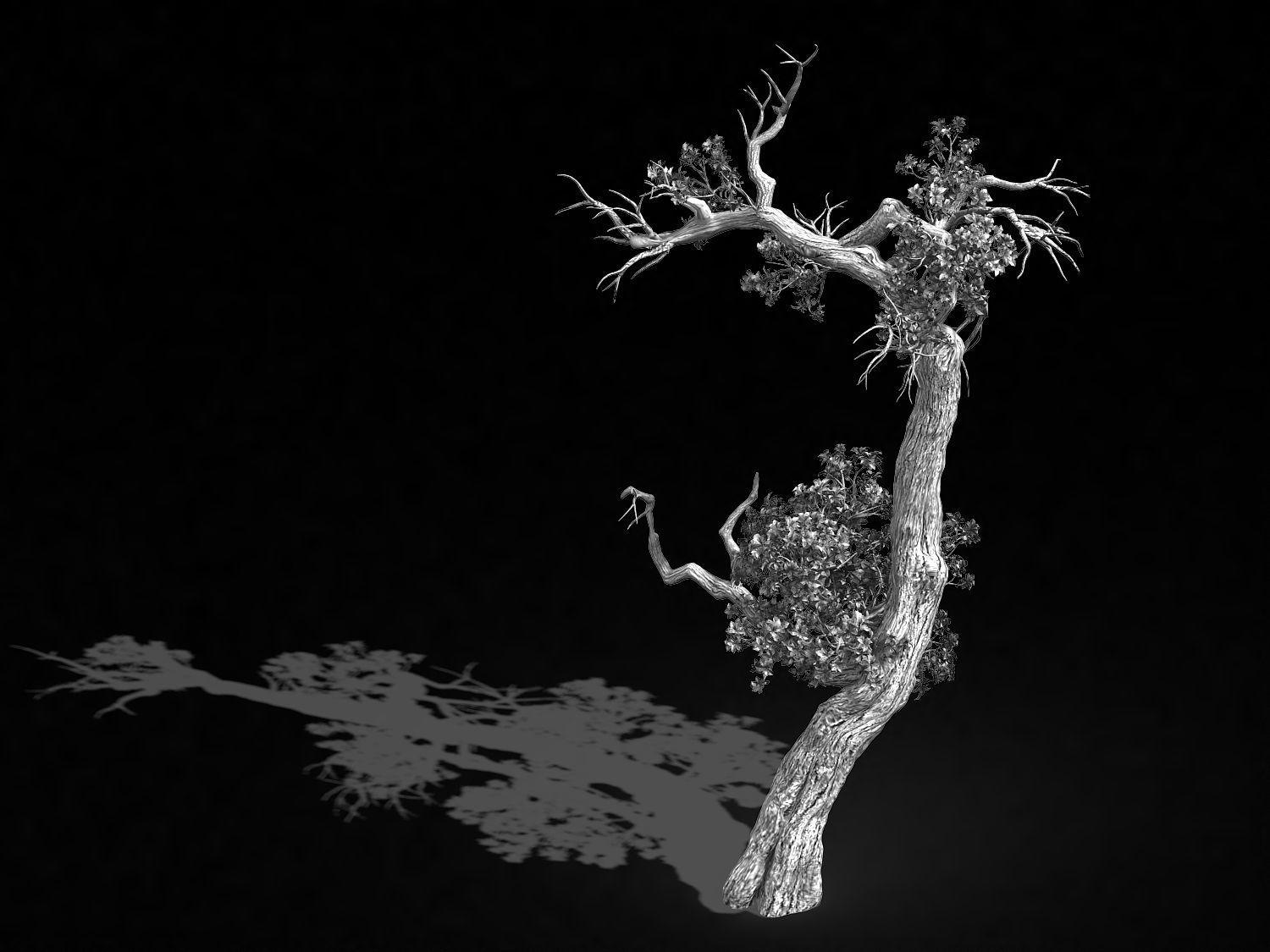Qianhui Forest-Difu-Vine Tree 059 3D model_2