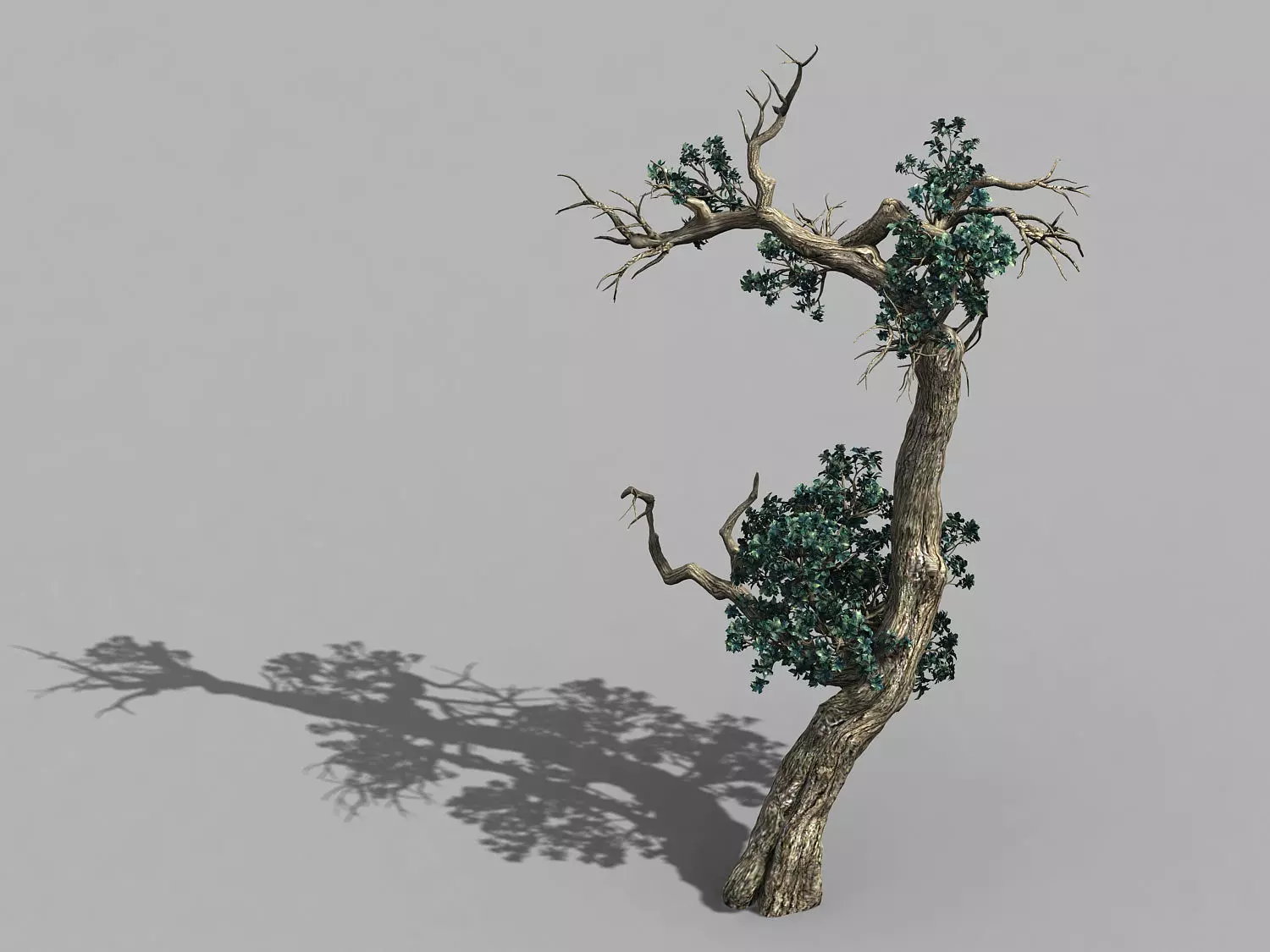 Qianhui Forest-Difu-Vine Tree 059 3D model_0
