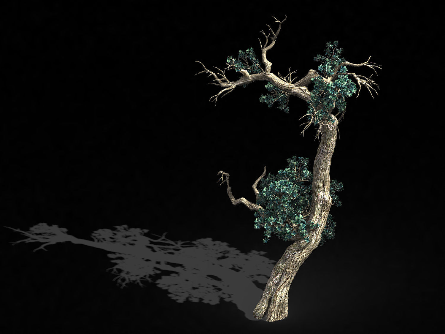 Qianhui Forest-Difu-Vine Tree 059 3D model_1