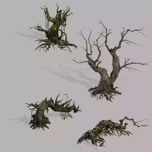 Dragon Fortress-Spider Forest Withered Tree 02