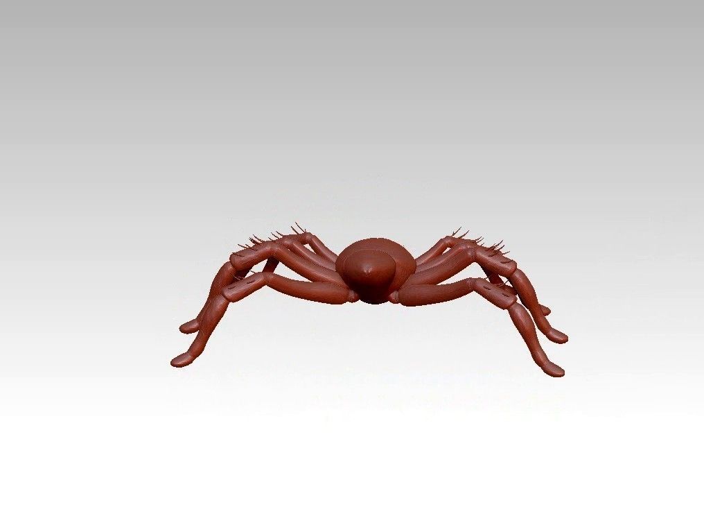 Spider insect 3D model_9