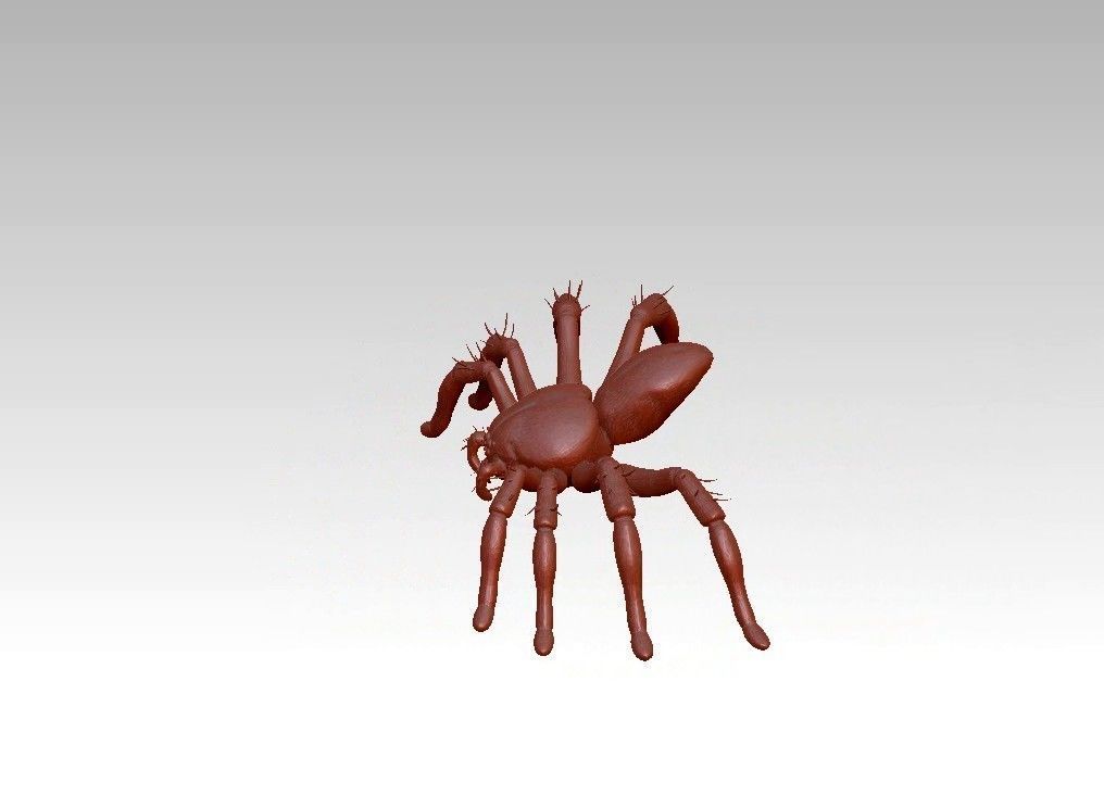 Spider insect 3D model_14