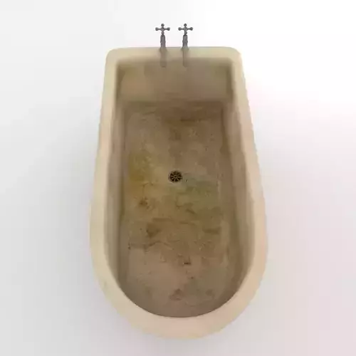 Dirty Bath 3D model