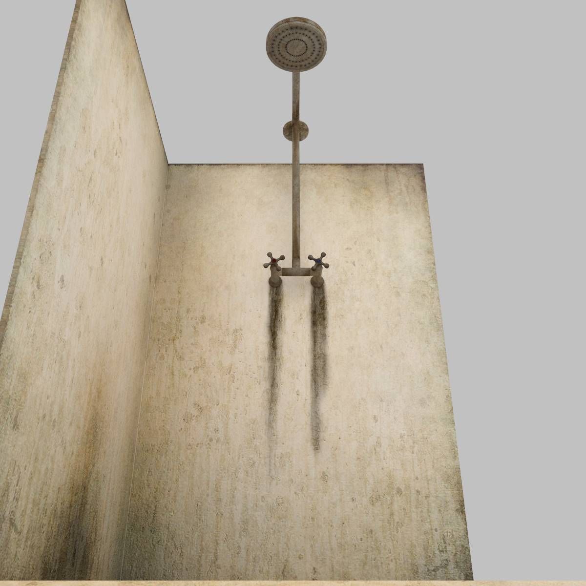 Dirty Shower 3D model_3
