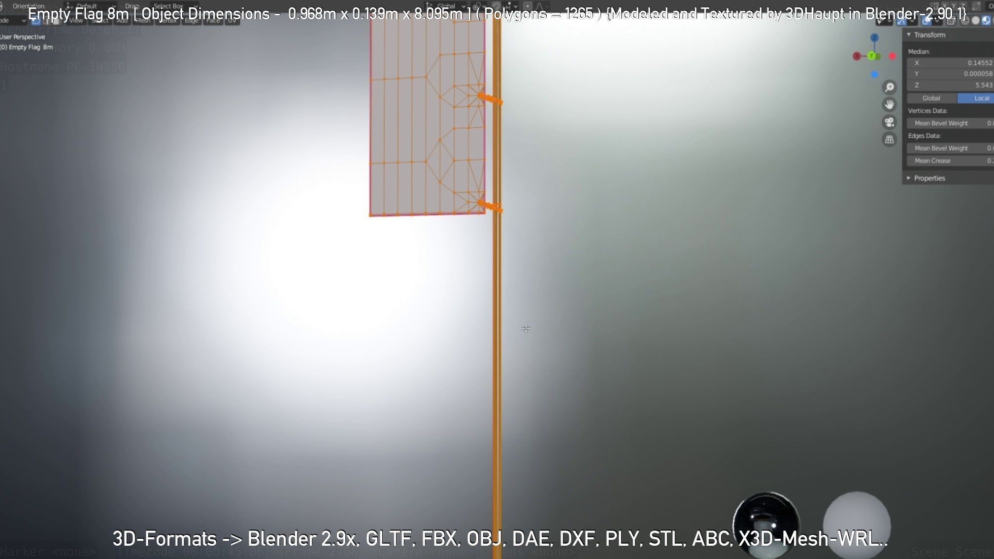 Empty Flag 8m Low-poly 3D model_26