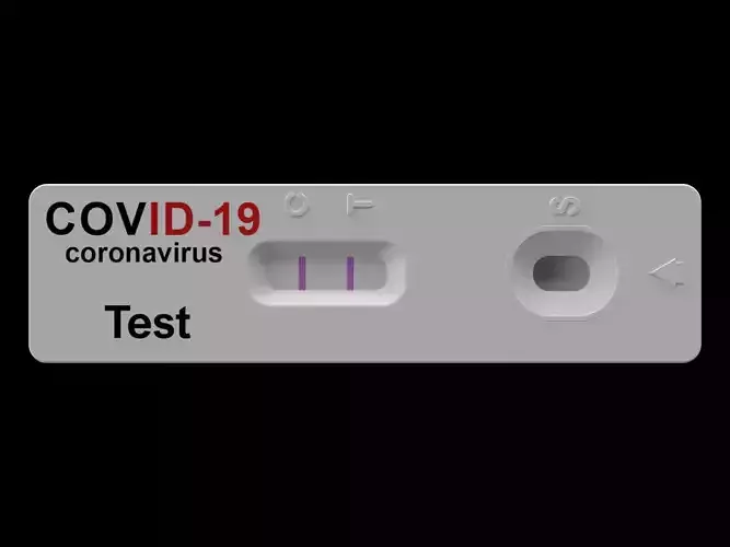Antigen Test Covid-19 3D model