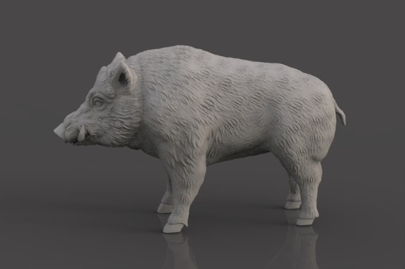 Boar 3D Model wild 3D print model_7