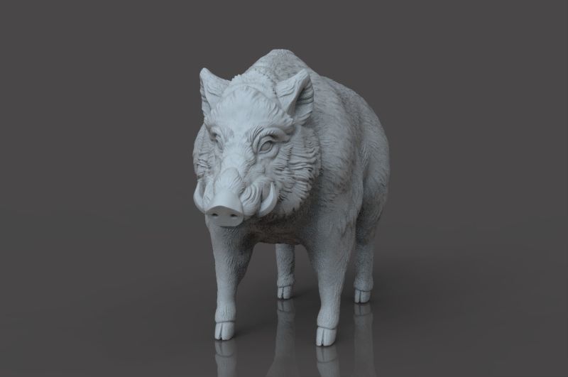 Boar 3D Model wild 3D print model_1
