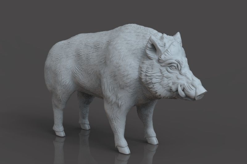 Boar 3D Model wild 3D print model_2