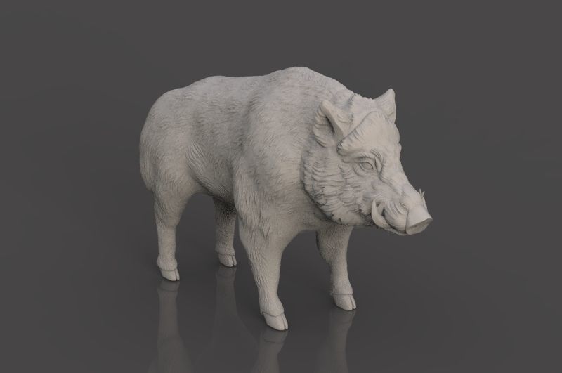 Boar 3D Model wild 3D print model_10