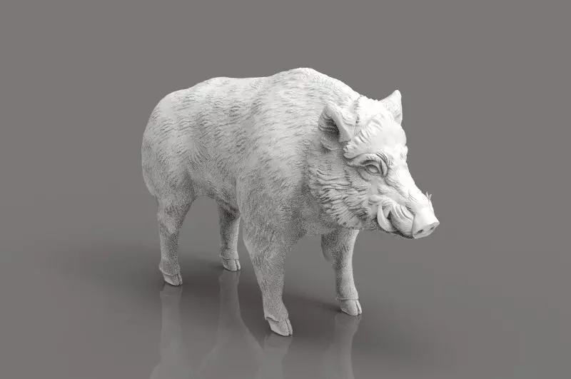 Boar 3D Model wild 3D print model_0