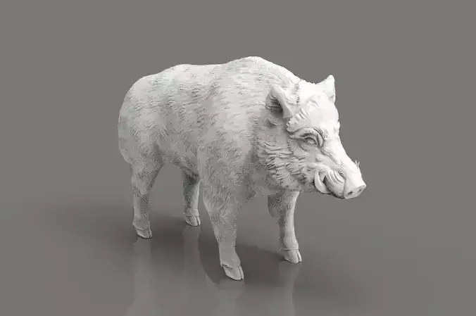Boar 3D Model wild 3D print model
