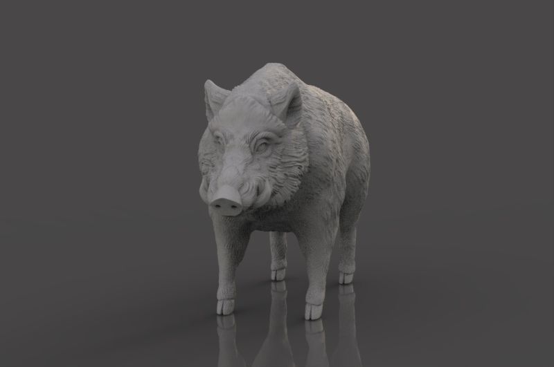 Boar 3D Model wild 3D print model_9