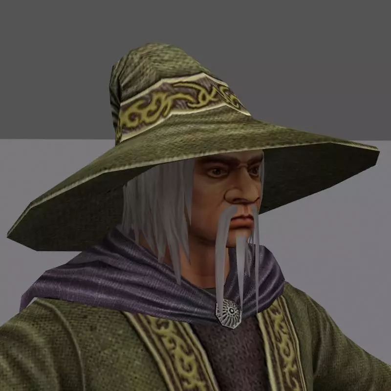 Wizard Low-poly 3D model_0