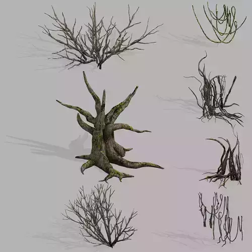 Dragon Fortress-Spider Forest Withered Tree 03