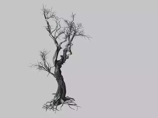 Vampire-Dead Tree 25