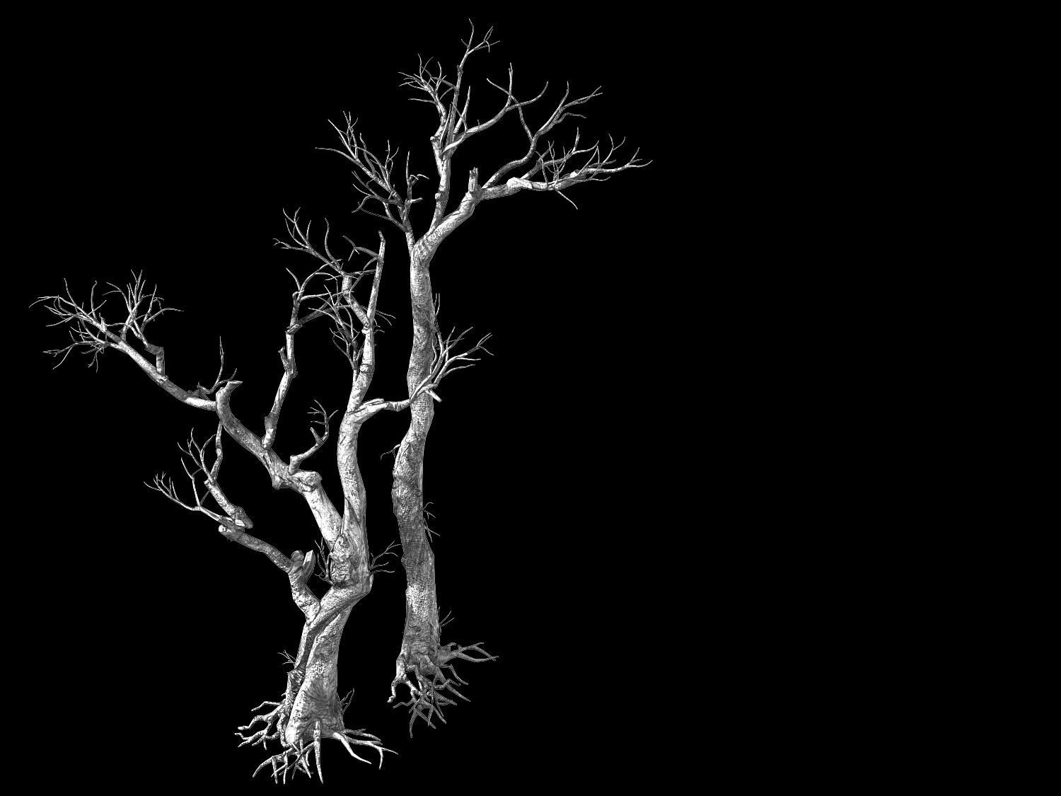 Vampire-Dead Tree 28 3D model_2