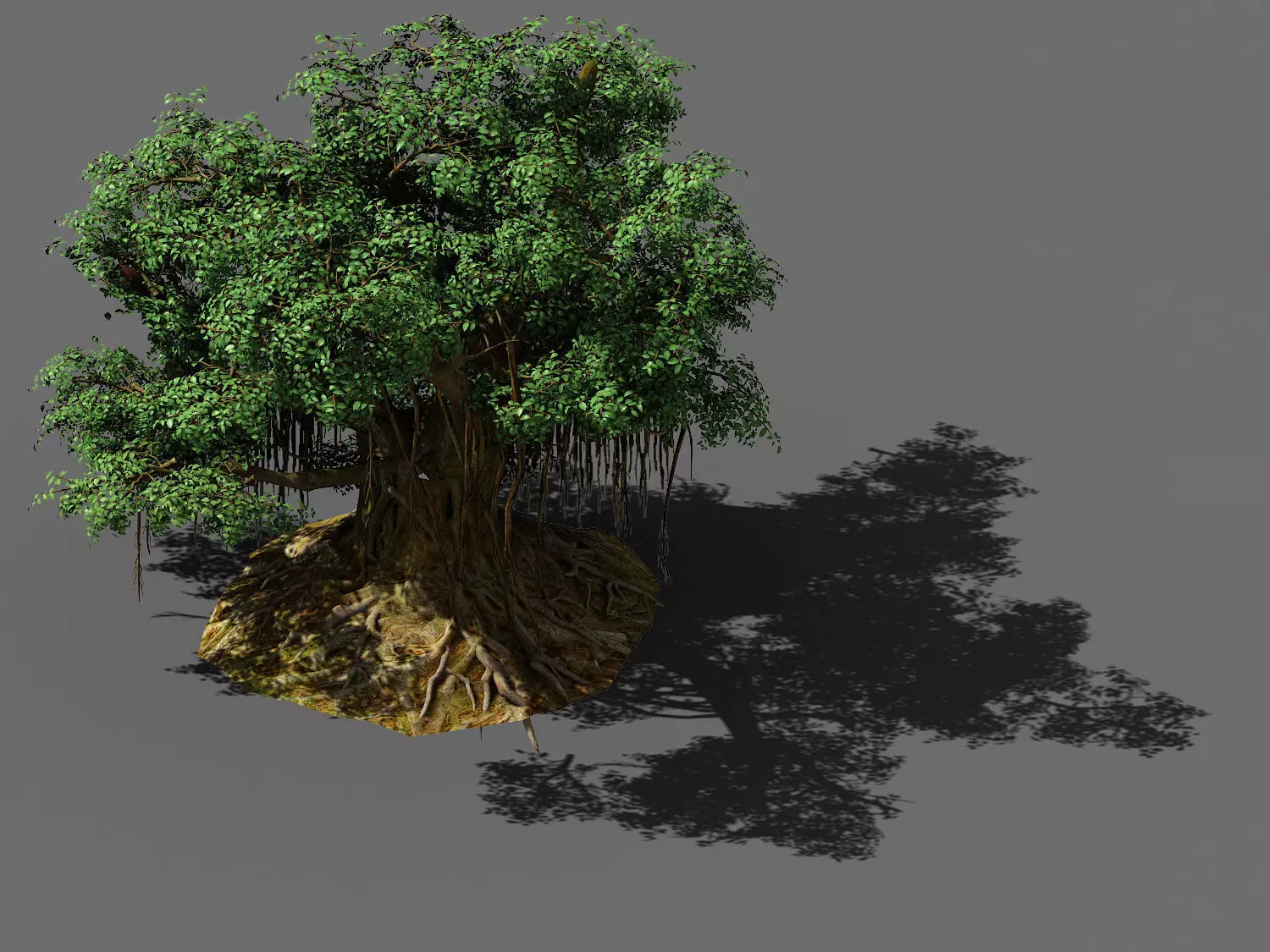 Fairy Trail-Banyan Tree 02 3D model_0
