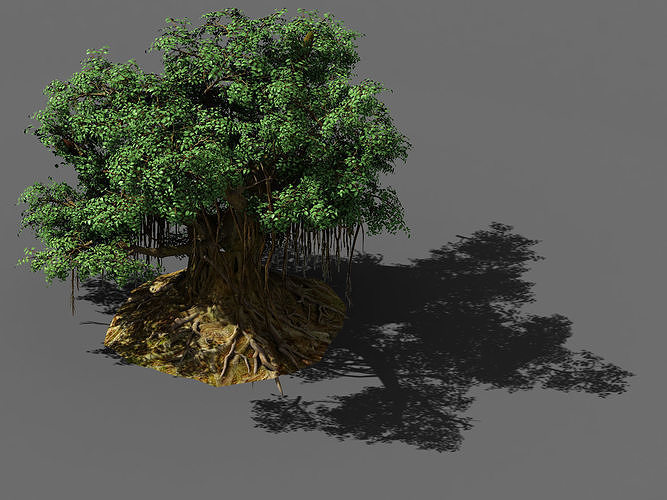 Fairy Trail-Banyan Tree 02 3D model