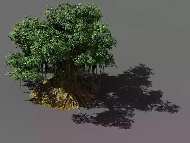 Fairy Trail-Banyan Tree 02 3D model