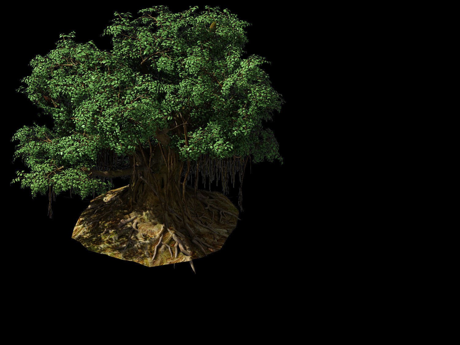 Fairy Trail-Banyan Tree 02 3D model_1