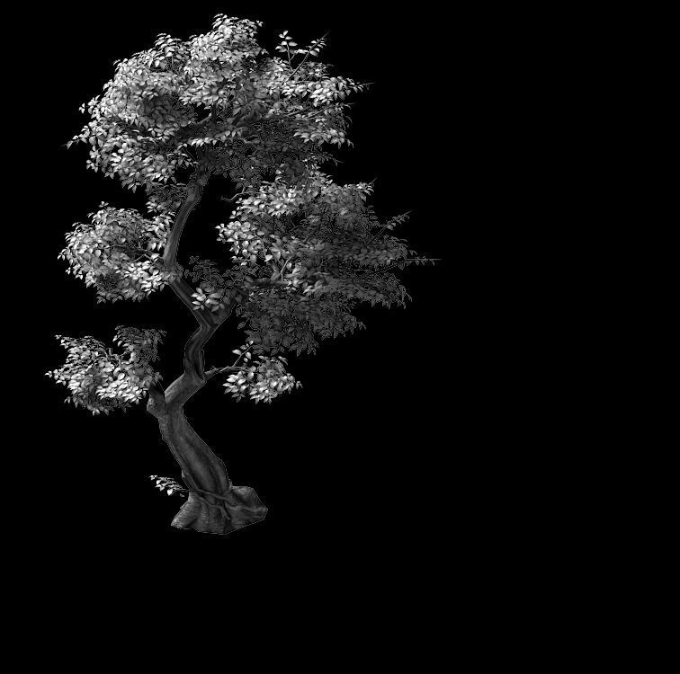 Fairy Trail-Banyan Tree 04 3D model_2