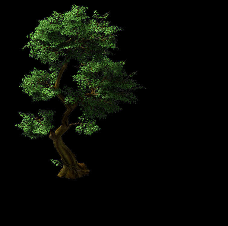 Fairy Trail-Banyan Tree 04 3D model_1