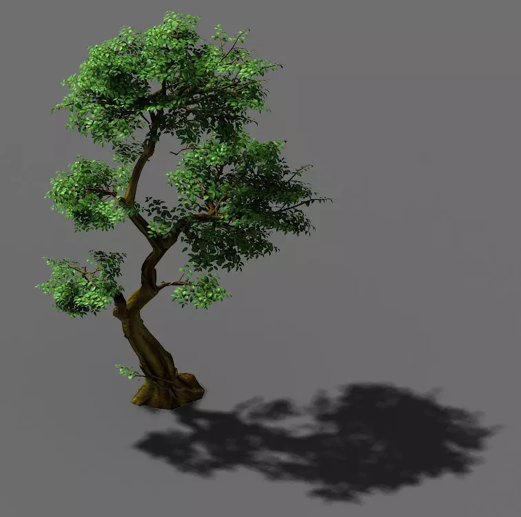 Fairy Trail-Banyan Tree 04 3D model_0