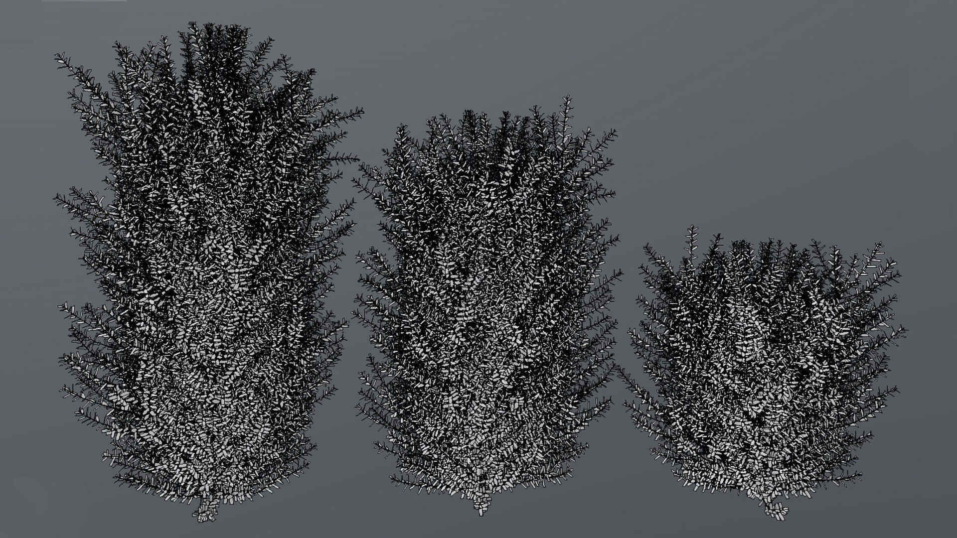 Bushes bush 3D model_20