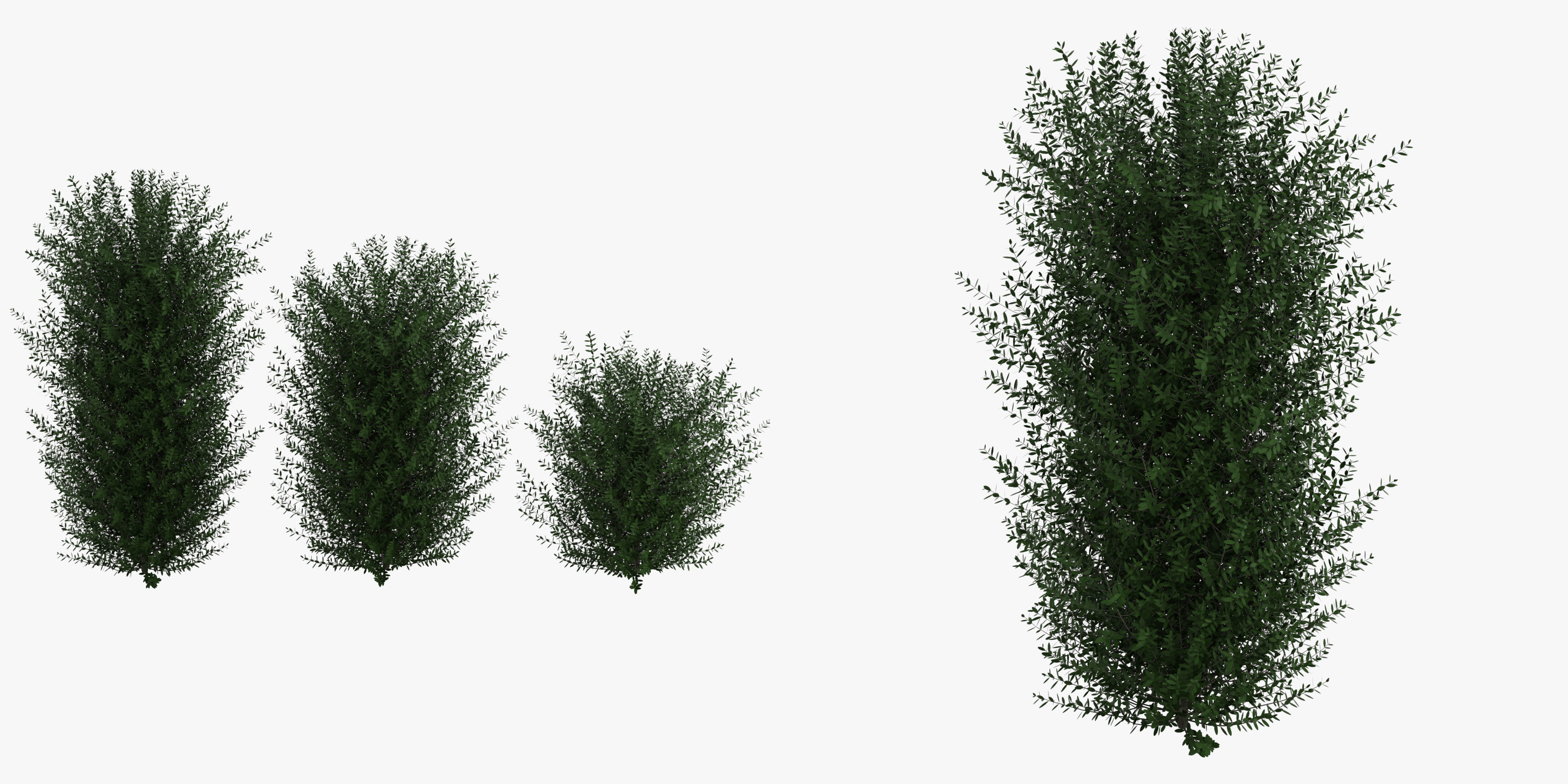 Bushes bush 3D model_24