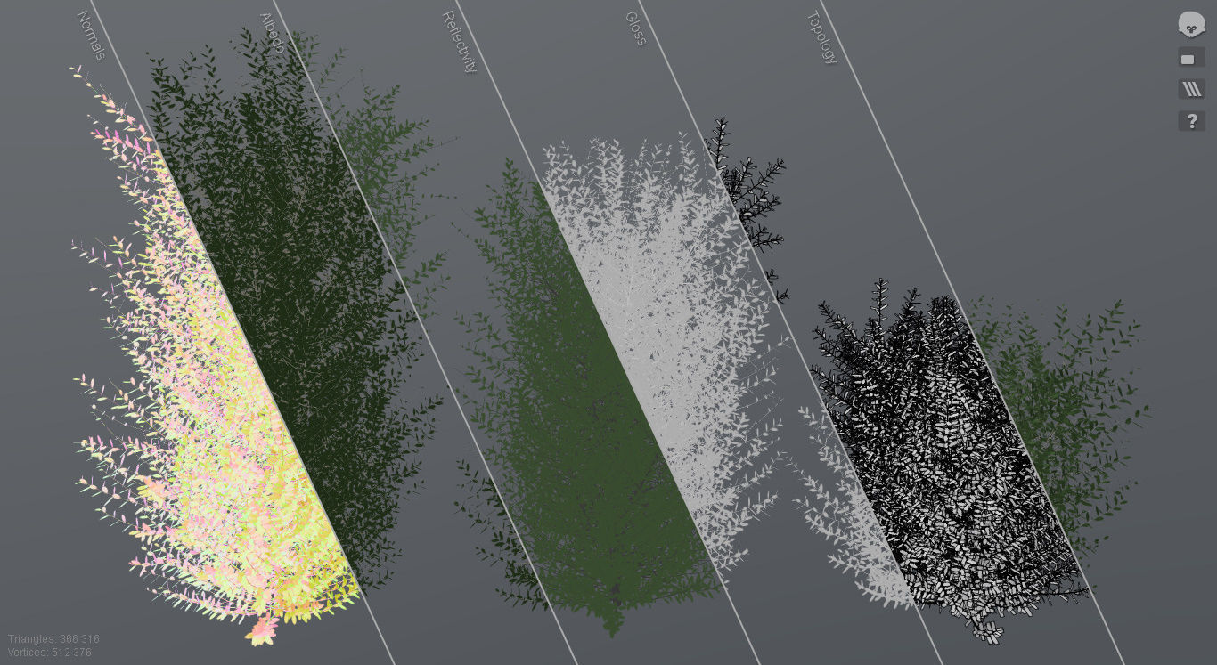 Bushes bush 3D model_15