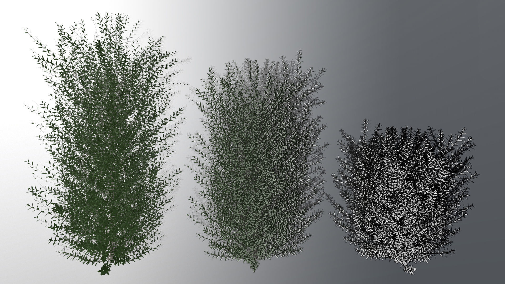 Bushes bush 3D model_21