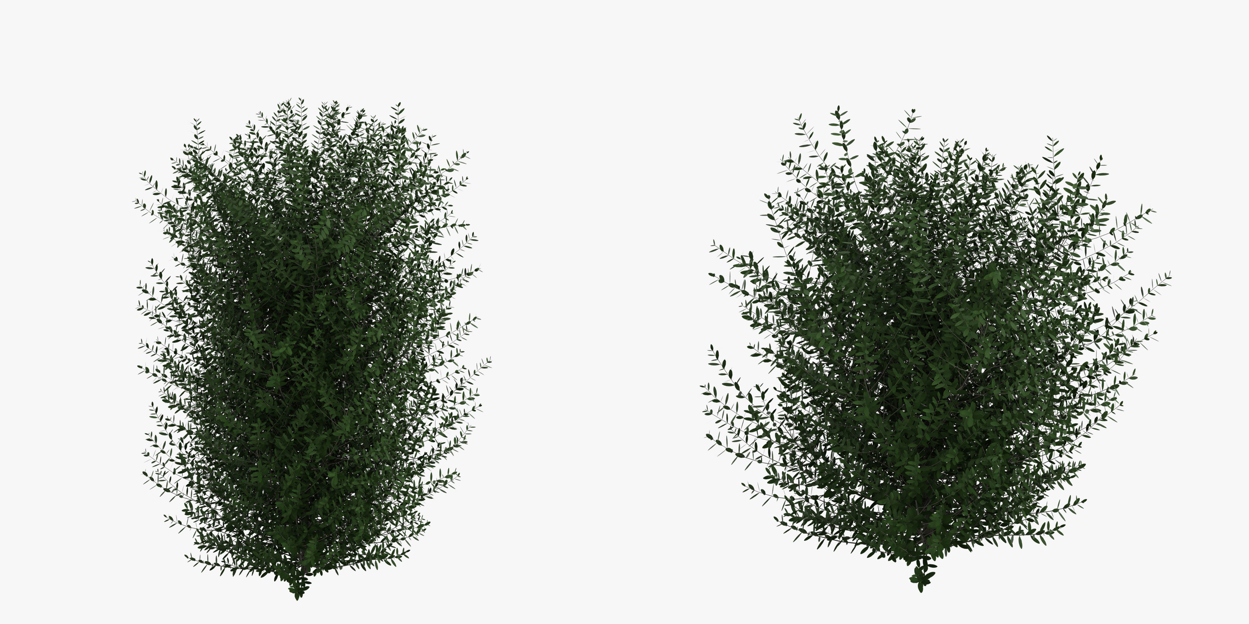 Bushes bush 3D model_23